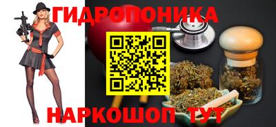 Альфа ПВП Владивосток