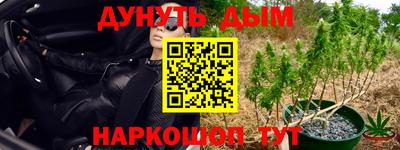 Альфа ПВП Владивосток