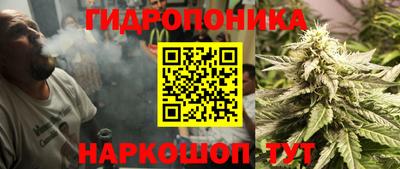 Альфа ПВП Владивосток