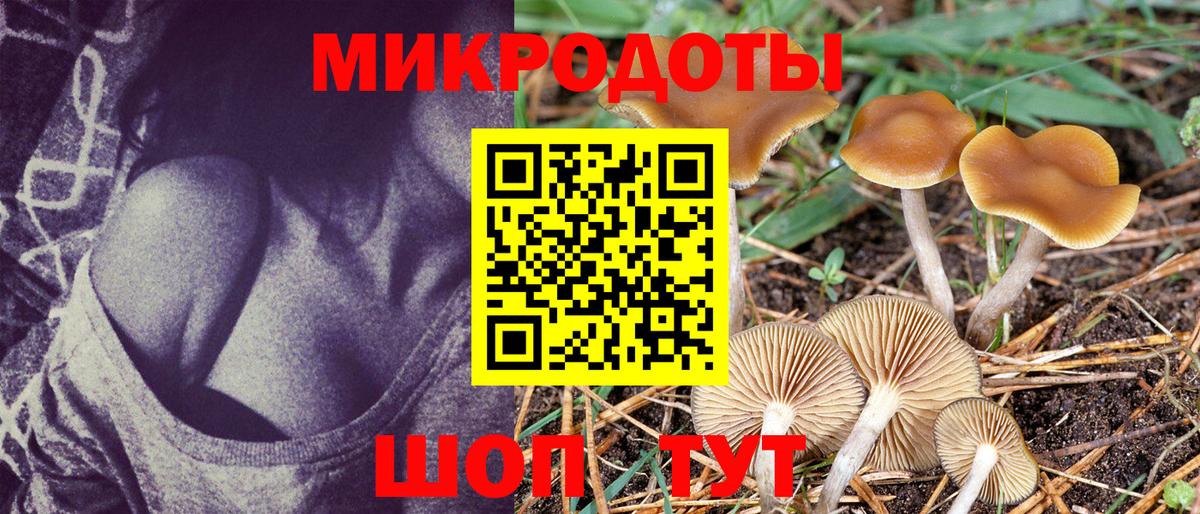 Галлюциногенные грибы MAGIC MUSHROOMS  Вход с VPN  Серпухов  Галлюциногенные грибы Psilocybine cubensis 